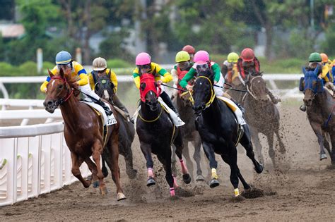 大井競馬ライブ.