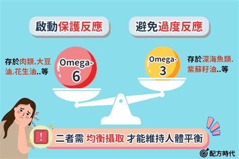 營養師講解｜5大Omega.